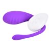 N12022 loving joy remote controlled love egg vibrator 2 1.jpg
