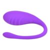 N12022 loving joy remote controlled love egg vibrator 3.jpg