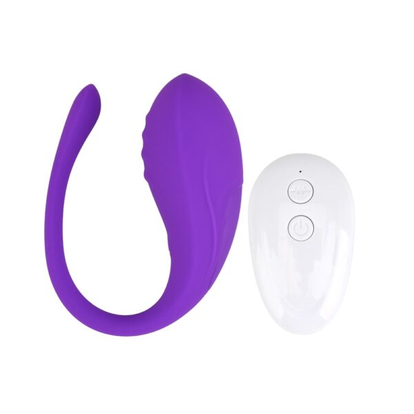 N12022 loving joy remote love egg vibrator 1.jpg