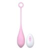 N12024 Loving Joy Remote Controlled Vibrating Egg 1.jpg