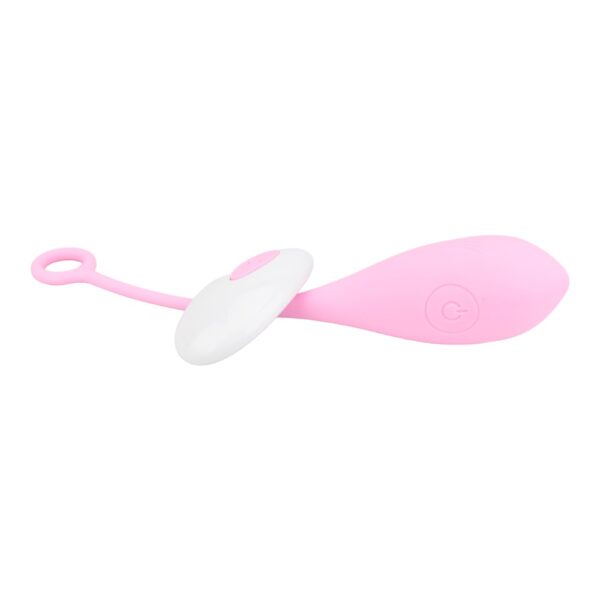 N12024 loving joy remote controlled vibrating egg 2.jpg