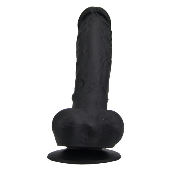 N12035 loving joy 9 inch realistic silicone dildo with suction cup and balls black 1.jpg