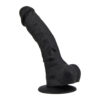 N12035 loving joy 9 inch realistic silicone dildo with suction cup and balls black 3.jpg