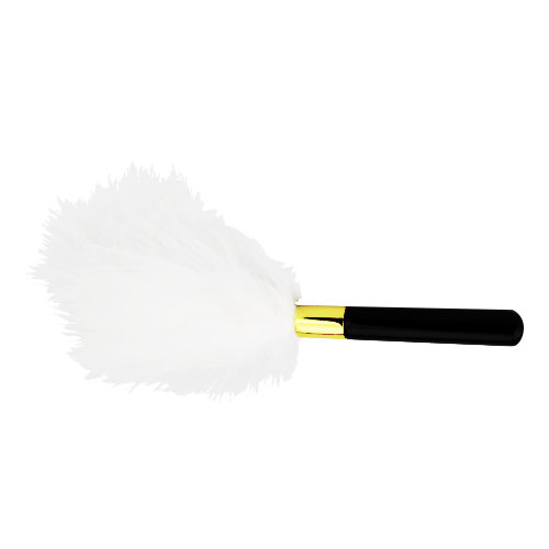 N12171 bound to play eye mask and feather tickler play kit tickler 1.jpg