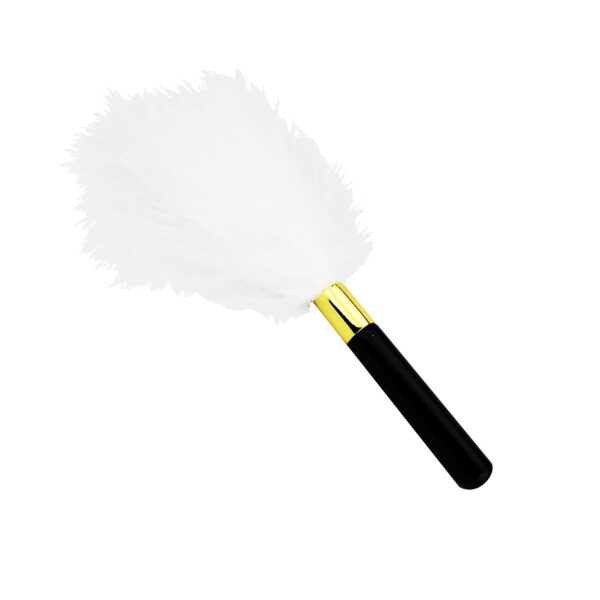 N12171 bound to play eye mask and feather tickler play kit tickler HR.jpg