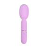 N12249 Nauti Petites 10 Speed Wand Vibrator.jpg