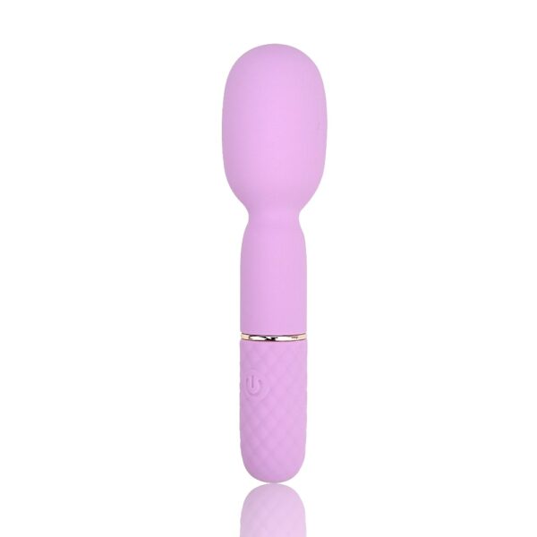 N12249 Nauti Petites 10 Speed Wand Vibrator Reflection.jpg