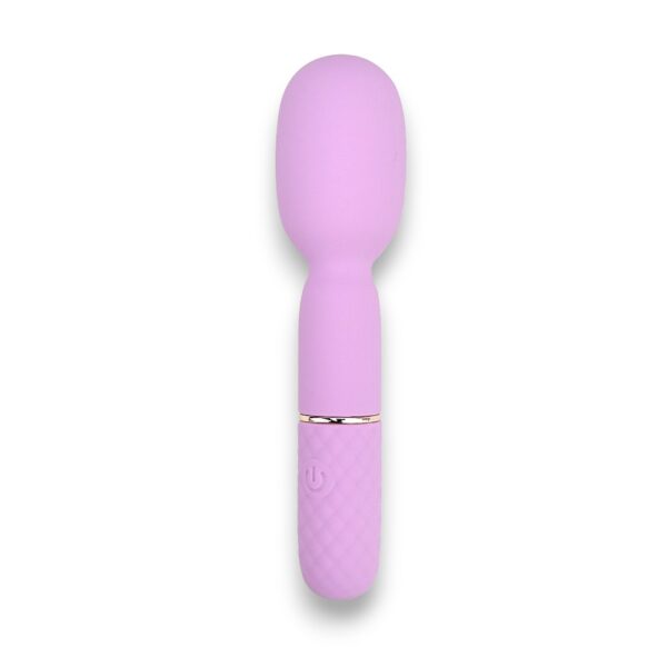 N12249 Nauti Petites 10 Speed Wand Vibrator Shadow.jpg