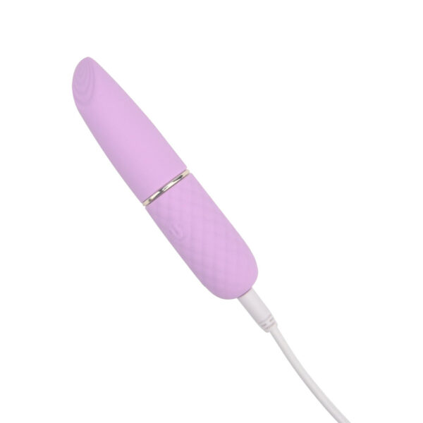 N12251 Nauti Petites 10 Speed Bullet Vibrator Charging.jpg