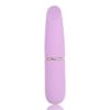 N12251 Nauti Petites 10 Speed Bullet Vibrator Mirror.jpg
