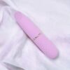 N12251 Nauti Petites 10 Speed Bullet Vibrator sheets.jpg
