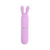 N12252 Nauti Petites 10 Speed Rabbit Ears Bullet Vibrator.jpg
