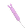 N12252 Nauti Petites 10 Speed Rabbit Ears Bullet Vibrator Charge Cable.jpg