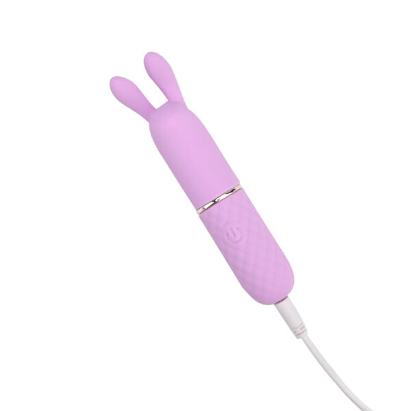 N12252 Nauti Petites 10 Speed Rabbit Ears Bullet Vibrator Charge Cable.jpg