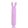 N12252 Nauti Petites 10 Speed Rabbit Ears Bullet Vibrator Mirrored.jpg