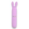 N12252 Nauti Petites 10 Speed Rabbit Ears Bullet Vibrator Shadow.jpg