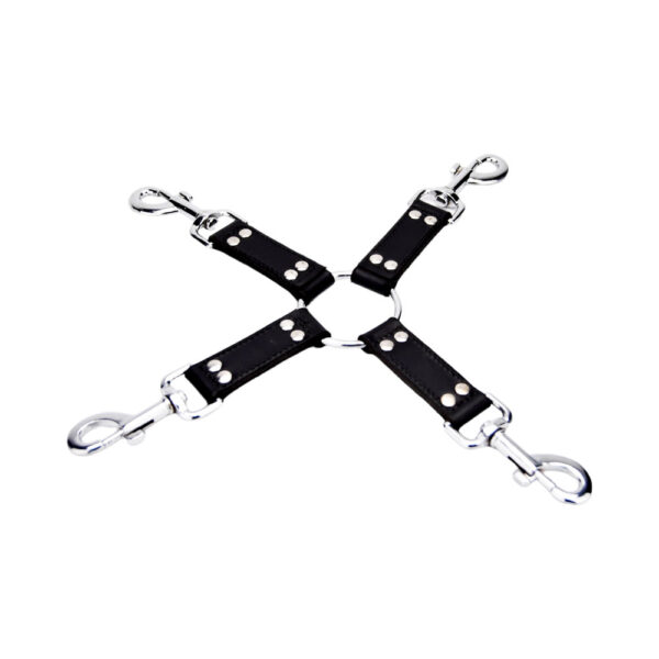 N12269 bound leather 4 way hog tie.jpg
