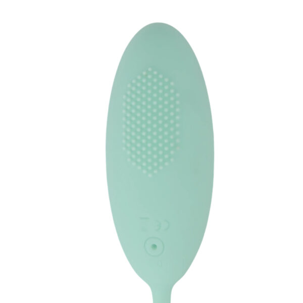 N12426 tabooboo take me back to bed remote love egg back.jpg