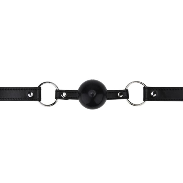 N12449 bound to play silicone ball gag 1.jpg