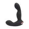 N12497 rev pro 10 function remote controlled prostate massager 1.jpg
