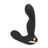 N12497 rev pro 10 function remote controlled prostate massager 2.jpg
