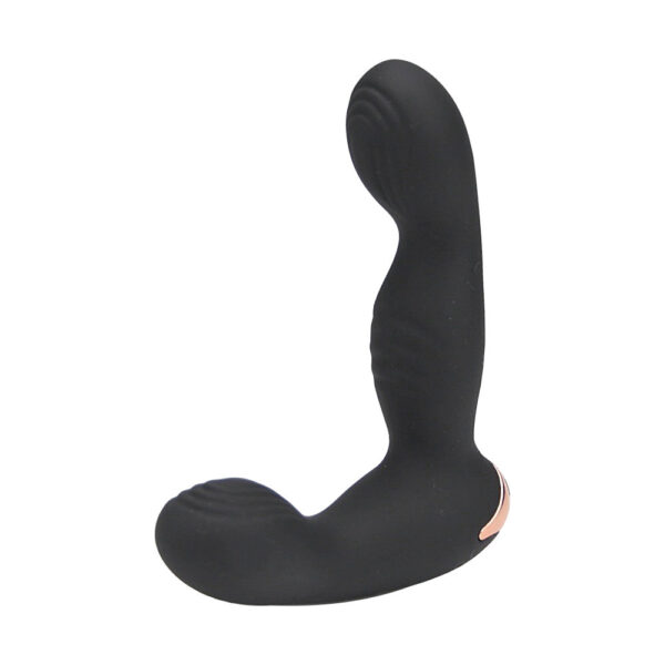 N12497 rev pro 10 function remote controlled prostate massager 5.jpg