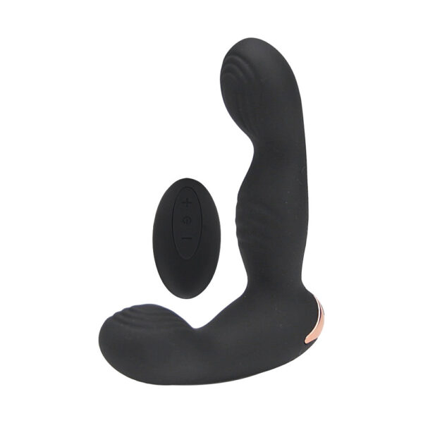 N12497 rev pro 10 function remote controlled prostate massager.jpg