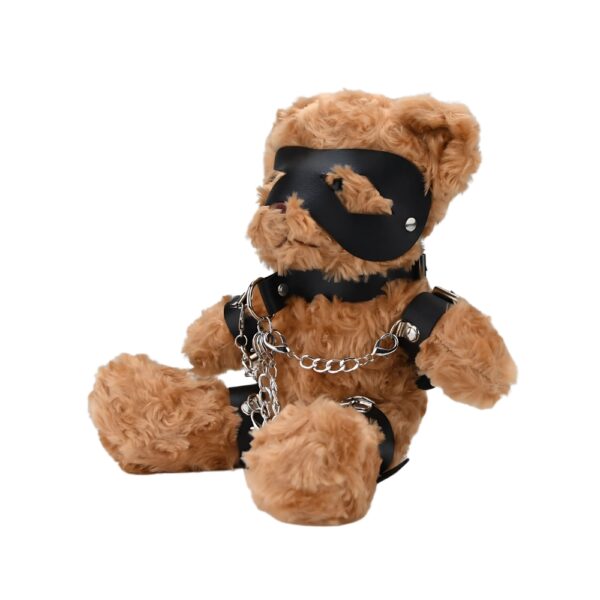 N12554 bound to please bondage bear 2.jpg
