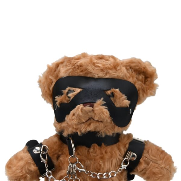 N12554 bound to please bondage bear 4.jpg