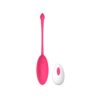 N12637 Mina Astral 10 Function Love Egg 1.jpg