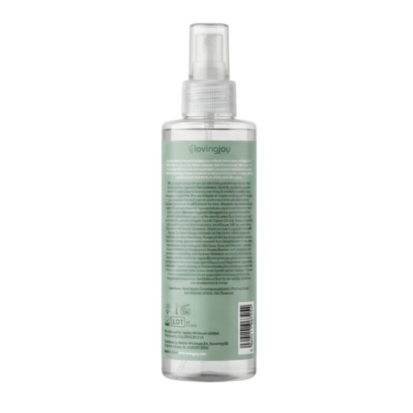 Loving Joy Cleanse Sex Toy Cleaner 250ml
