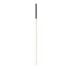Bound to Please Spanking Cane Bound to Please Spanking Cane