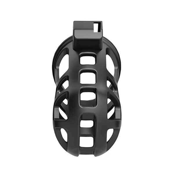 N12873 impound titan cock cage 3.jpg