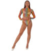 N12936 lace by lj rainbow fence net crop top and bottoms 1.jpg