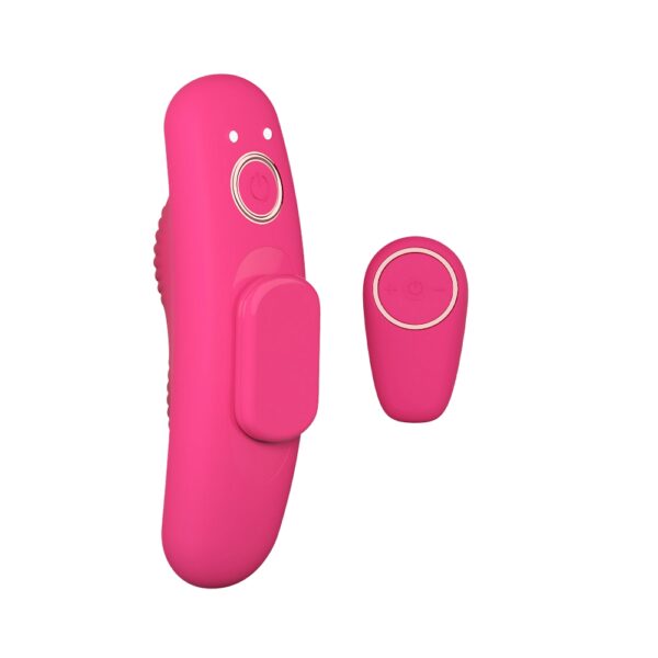 N12943 Mina Veil Remote Controlled Panty Vibrator 1.jpg