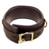 N10096 bound collar 2 1.jpg