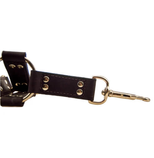 N10100 bound 4 way hog tie 2 2.jpg
