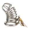 N10350 impound spiral male chastity device 2.jpg