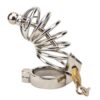 N10351 impound corkscrew male chastity device 2 1.jpg