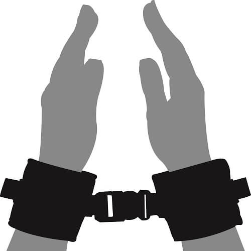 N10452 loving joy beginners wrist restraints 1.jpg