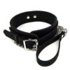 N10529 bound to please silicone collar and lead set 3 1 .jpg