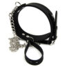 N10529 bound to please silicone collar and lead set 4 1.jpg