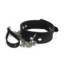 N10529 bound to please silicone collar and lead set 2.jpg