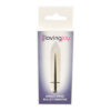 n11412-loving-joy-single-speed-silver-bullet-vibrator.jpg N11412 loving joy single speed silver bullet vibrator.jpg