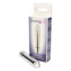n11412-loving-joy-single-speed-silver-bullet-vibrator-4.jpg N11412 loving joy single speed silver bullet vibrator 4.jpg