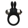 N11439 joyrings silicone rabbit vibrating cock ring 1.jpg