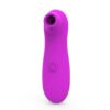 N11506 loving joy 10 function suction vibrator 1.jpg