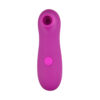 N11506 loving joy 10 function suction vibrator 2.jpg