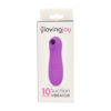 N11506 loving joy 10 function suction vibrator pkg.jpg