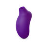 N11632 lelo sona2 cruise purple 1.jpg